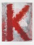 BARCELÓ Miquel KAFKA Franz La Métamorphose Gallimard 2020 édition illustrée tirage de luxe avec lithographie originale signée