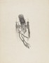 PONÇ Joan Suite pour Metamorfosis Franz Kafka Joan Ponç Ediciones Polígrafa 1978 Suite complète des 25 eaux-fortes originales