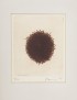 FUCHS Ernst KAFKA Franz Odradek : Die Sorge des Hausvaters Steintor Verlag 1971 Portfolio de 13 gravures originales signées