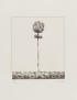 ERHARDT HM KAFKA Franz Die Bäume Les Arbres Manus Presse 1968 Édition illustrée de 8 gravures originales signées