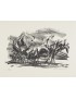 FRONIUS Hans KAFKA Franz Ein Landarzt Verlag Schrift und Bild 1966 Édition illustrée de 5 lithographies originales signées