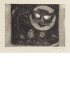 MAILLET Leo KAFKA Franz Eine Kreuzung 1950 édition illustrée de 6 eaux fortes originales reliure souple à décor en veau estampé 