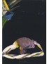 ROUČKA Pavel KAFKA Franz Aus Tagebüchern Z deníků 1910-1923 Internationale Graphik 1987 8 lithographies originales signées