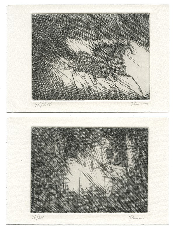 KAFKA Franz Ein Landarzt Insel Verlag 2003 Édition illustrée par Alfred Kubin 2 gravures originales de Paul Flora