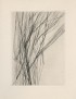 BENOIT Pierre-André Source dans l'arbre 1963 édition originale sur Arches eau forte originale de Maria Helena VIEIRA DA SILVA