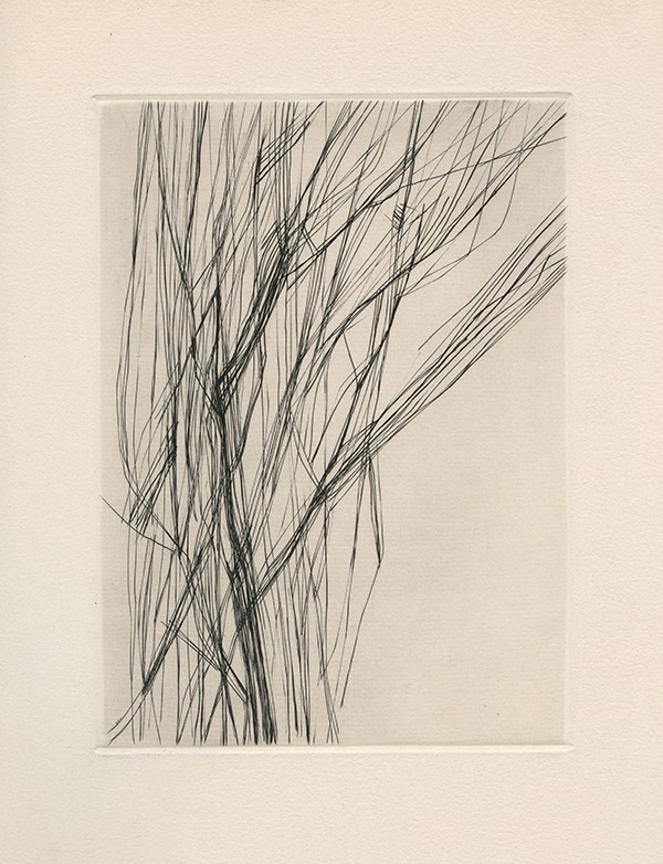 BENOIT Pierre-André Source dans l'arbre 1963 édition originale sur Arches eau forte originale de Maria Helena VIEIRA DA SILVA