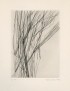 BENOIT Pierre-André Source dans l'arbre 1963 édition originale eau forte originale de Maria Helena VIEIRA DA SILVA signée suite