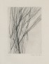 BENOIT Pierre-André Source dans l'arbre 1963 édition originale eau forte originale de Maria Helena VIEIRA DA SILVA signée suite