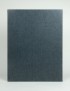 VAN VLIET Claire KAFKA Franz A Country Doctor Janus Press 1962 12 gravures en relief joint portfolio de 14 gravures 