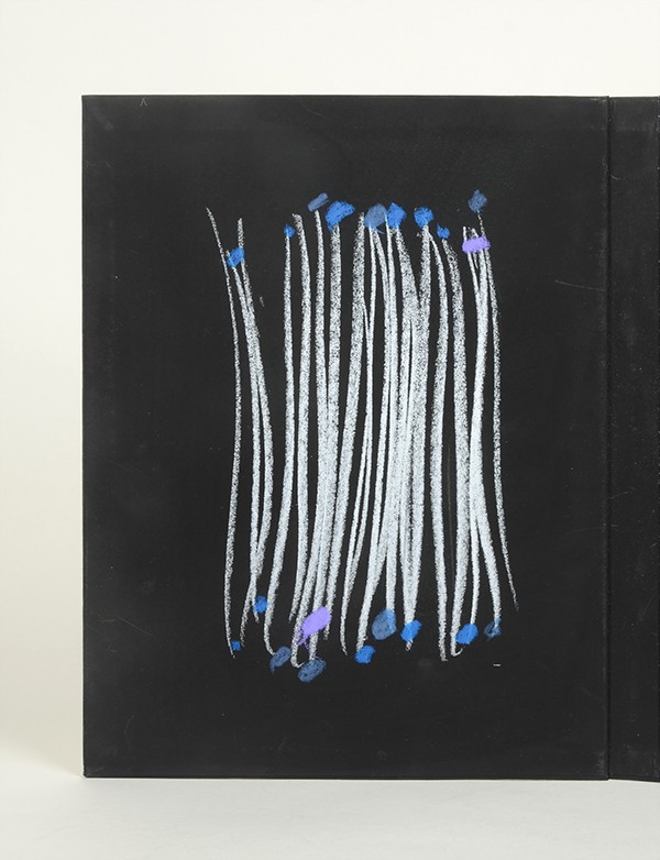 CAPDEVILLE Jean DUPIN Jean Bleu et sans nom Éditions Écarts 2004 dix peintures originales de Capdeville signé au colophon 