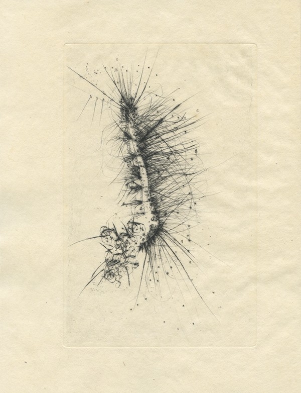 SOLIER René de Naturelles 1946 édition originale Hollande illustrée de 4 eaux fortes originales de Wols tirées sur Japon