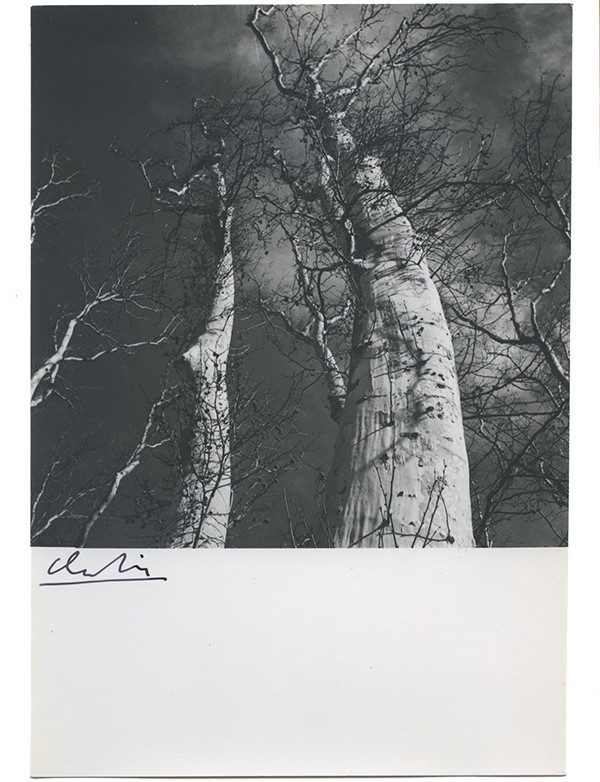 SIMON Claude Le Vent Éditions de Minuit 1957 édition originale pur fil deux photographies originales une signée